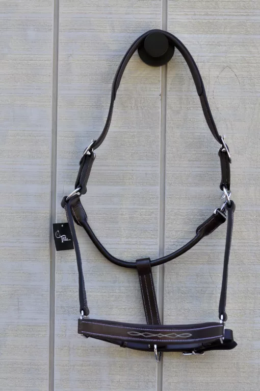 A3A77AC6 A00F 4F80 945D BBFE38B74ED2 scaled Adjustable padded Leather Halter