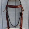 C86736E4 2F23 460F B941 6E5B4812BE07 Bling Headstall with Reins