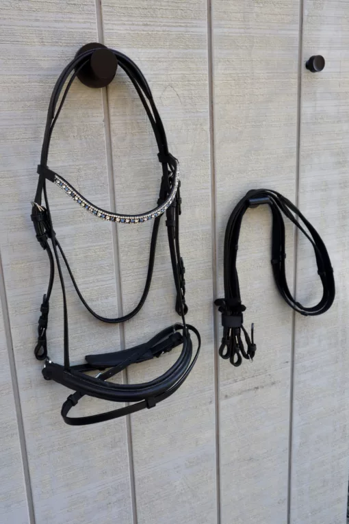 2A16ADC4 AD51 4167 8A75 33D9F3776A41 scaled English Bridle
