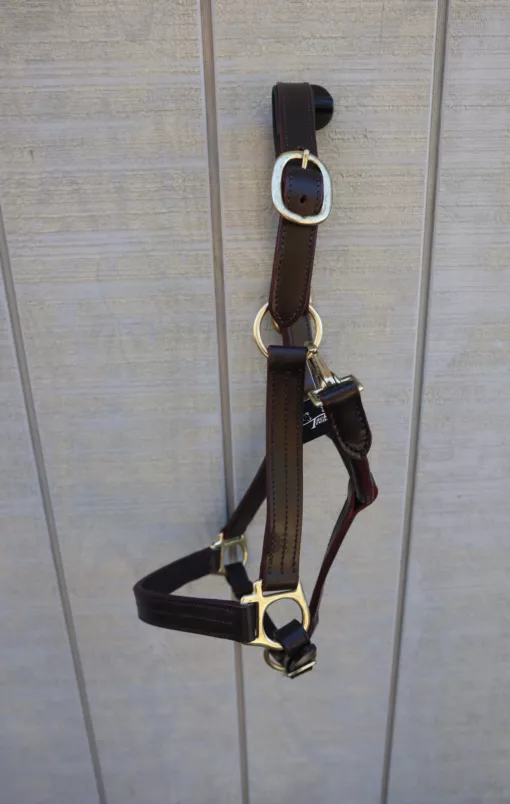 4C7CF944 3B4B 4CE7 925A 0A4223381846 scaled Leather Halter