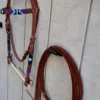 79208D44 835A 4BC0 90AF CFD2C80FC9F1 Beaded Headstall with Reins