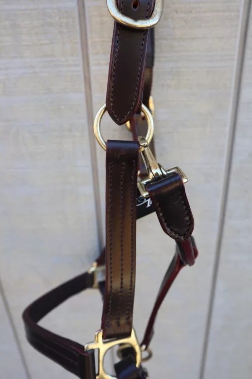 7E7FF38C 4F54 4318 A241 5A8AFF5C351A scaled Leather Halter