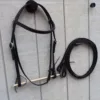 AB4D2872 2D1B 4266 87D0 67942E92C2E2 1 Leather Headstall with Reins