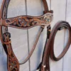 828274F9 8F1A 48C8 8B85 733BE26C6B8F 1 Hand Tooled/Painted Headstall